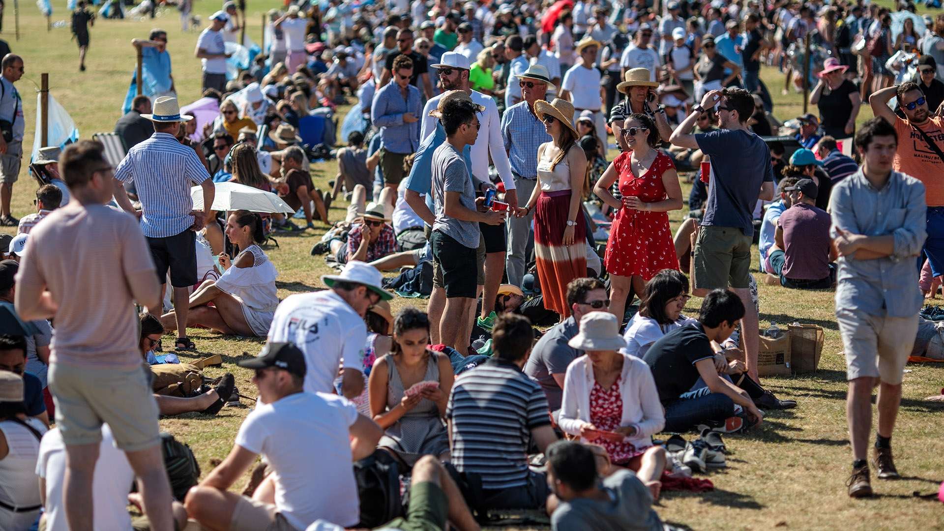 阴影仍然笼 阴影仍然笼