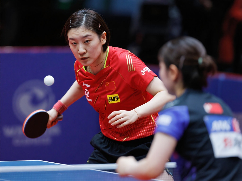 意大利国家 意大利国家